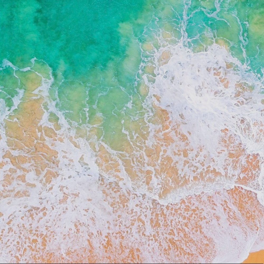 Meet your Posher, Drew